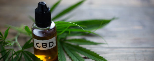 Le cannabis médical