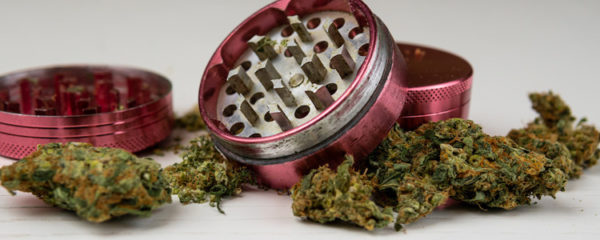 Grinder d'herbe