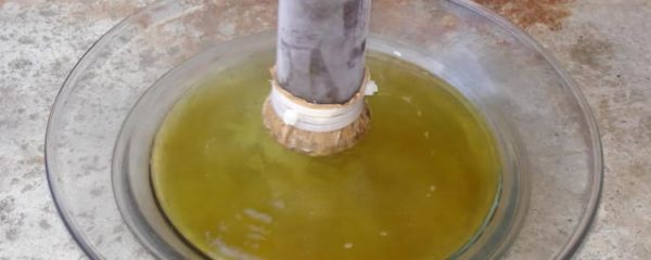 extractions BHO